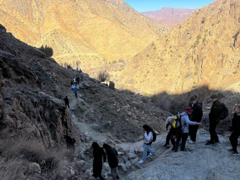 Marrakech Day Trip: Ourika Valley & Guided in Atlas Mountain - Highlights and Activities