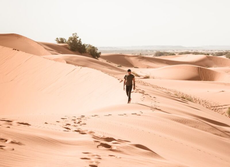 Marrakech: Day Trip to Ait Ben Haddou & Ouarzazate - Key Points