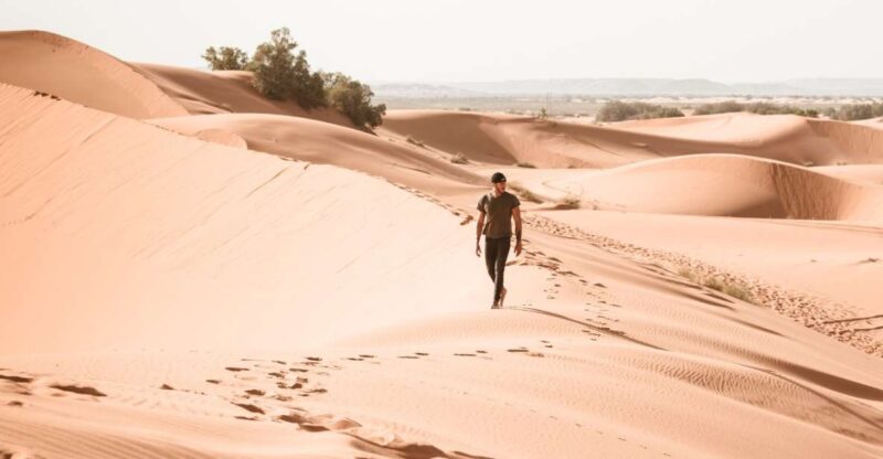 Marrakech: Day Trip to Ait Ben Haddou & Ouarzazate - Inclusions and Flexibility
