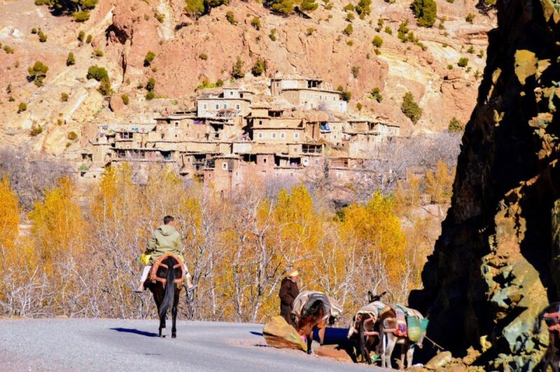 Marrakech: Day Trip To Atlas Mountains, Valleys & Camel Ride - Cultural Experiences