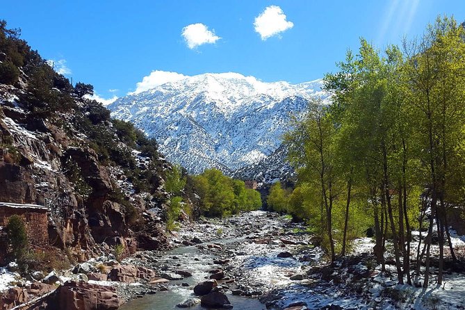 Marrakech Day Trip to Ourika Valley & Atlas Mountains - Discovering Berber Culture