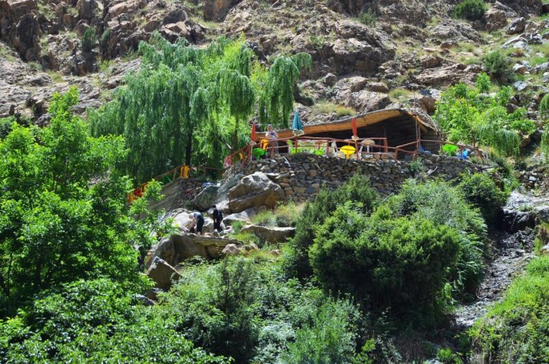 Marrakech :Day Trip To Ouzoud Waterfalls Including Boat Ride - Languages and Guide