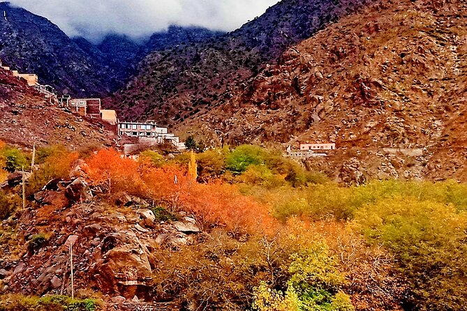 Marrakech Day Trip to the Atlas Mountains, Four Valleys and Camel Ride Waterfall - Immerse in Moroccan Culture and Traditions