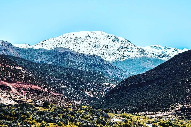 Marrakech Day Trip to the Atlas Mountains, Four Valleys and Camel Ride Waterfall - Indulge in a Delectable Lunch Experience