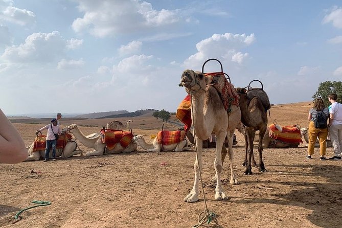 Marrakech Day Trip to the Atlas Mountains, Four Valleys and Camel Ride Waterfall - Enjoy the Breathtaking Waterfall Viewpoint