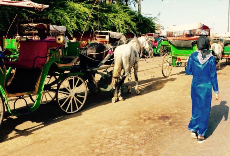 Marrakech Day Trip With Amazing Tour Guide - Inclusions and Exclusions