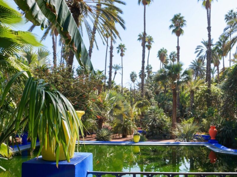 Marrakech Day-Trip With Camel Ride From Casablana - Pickup and Transportation