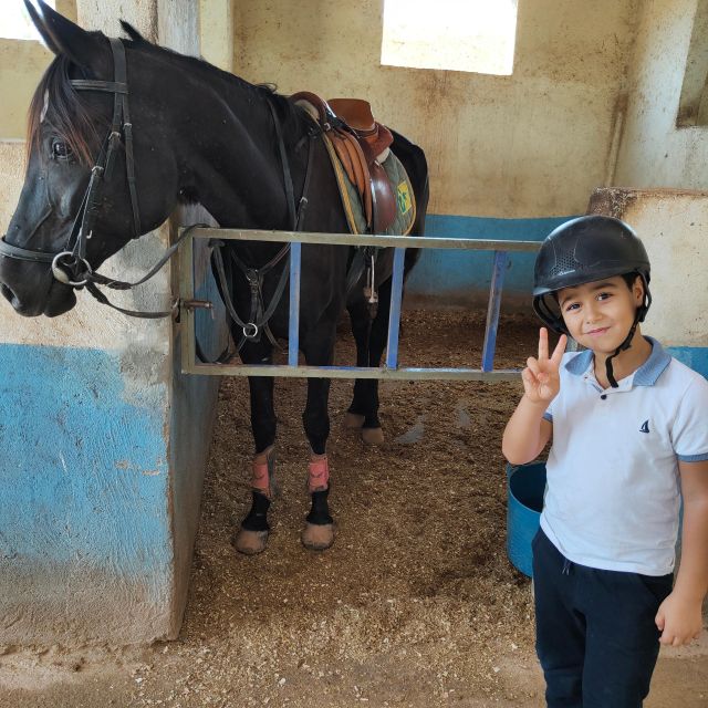 Marrakech: Desert and Palmeraie Horse Riding Tour & Transfer - Key Points