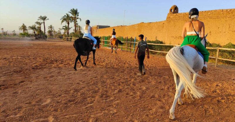 Marrakech: Desert and Palmeraie Horse Riding Tour & Transfer - Included Experiences