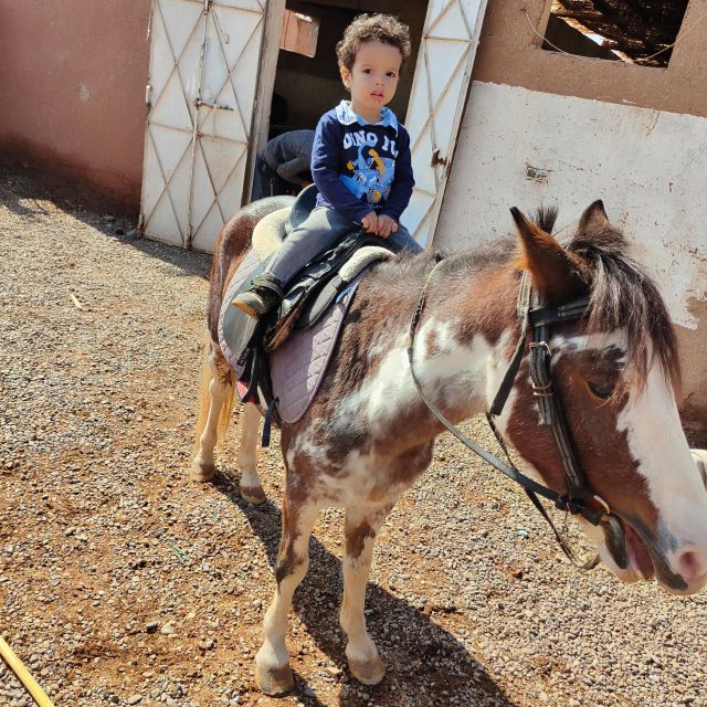 Marrakech: Desert and Palmeraie Horse Riding Tour & Transfer - Participant Information