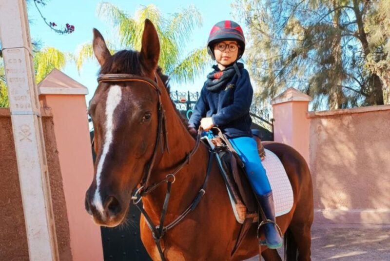 Marrakech: Desert and Palmeraie Horse Riding Tour & Transfer - Pricing and Booking