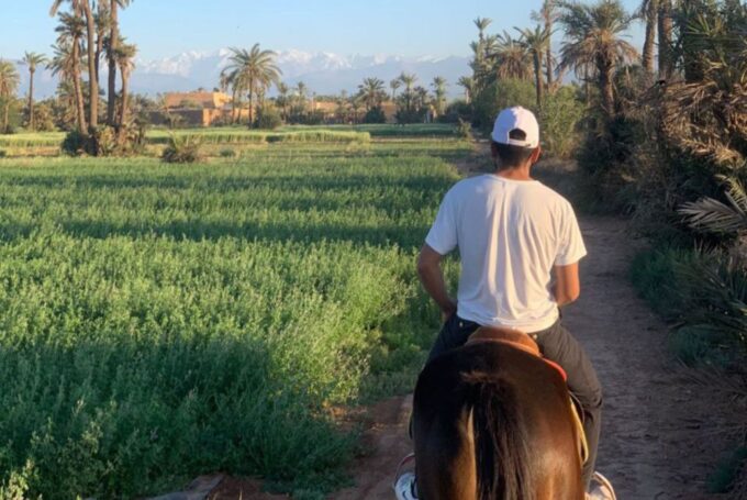 Marrakech: Desert and Palmeraie Horse Riding Tour & Transfer - Frequently Asked Questions