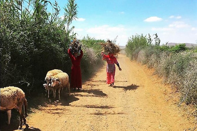 Marrakech Desert Buggy Tour Including Berber Tea Break and Transfer - Scenic Desert Ride