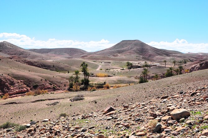 Marrakech Desert Buggy Tour Including Berber Tea Break and Transfer - Buggy Tour Duration