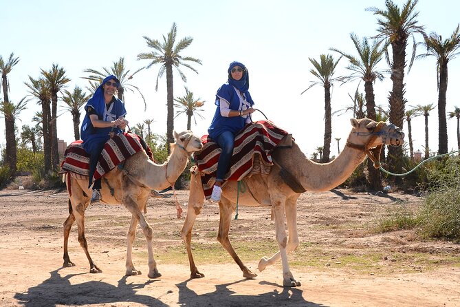 Marrakech Desert Camel Ride - Pickup and Drop-off