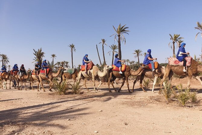 Marrakech Desert Camel Ride - Additional Information