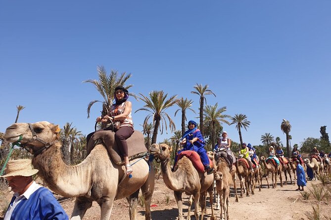 Marrakech Desert Camel Ride - Camel Riding Experience