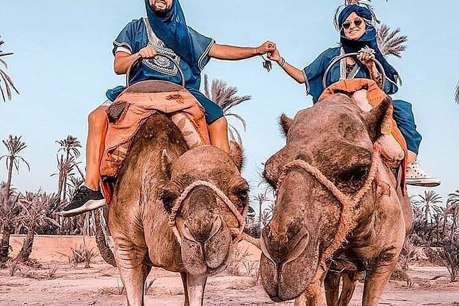 Marrakech Desert Camel Ride - Berber Mint Tea