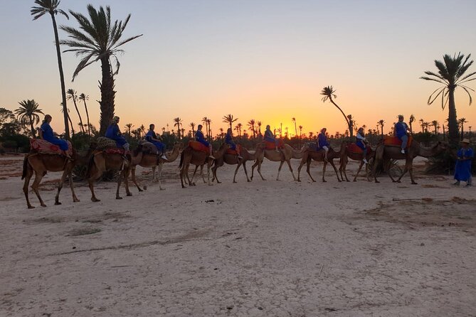 Marrakech Desert Camel Ride - Hassle-free Tour