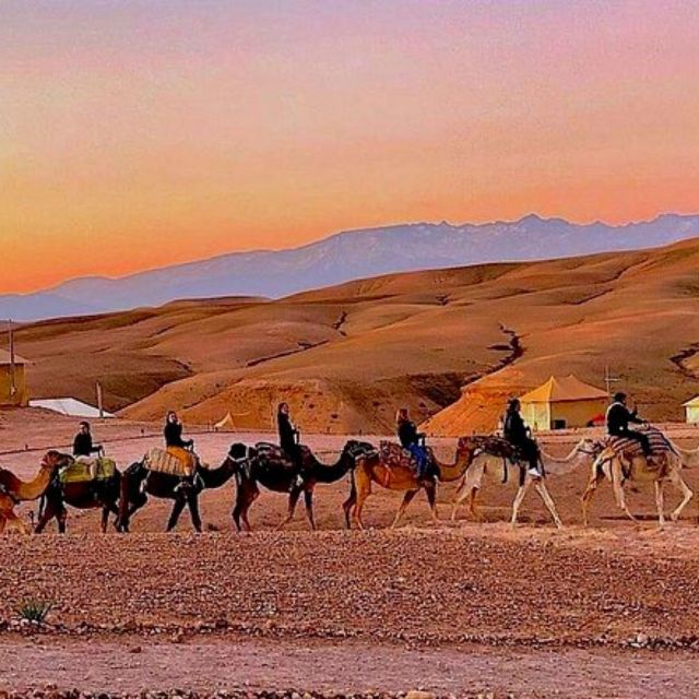 Marrakech: Desert Quad Bike With Dinner, Show, & Live Music - Booking and Selection
