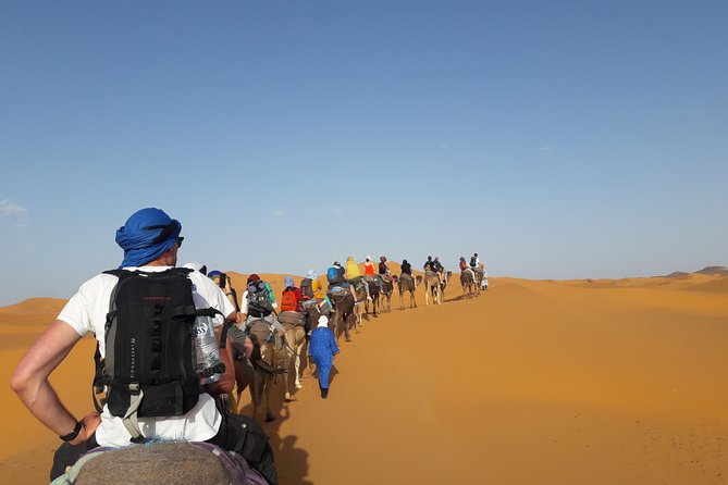 Marrakech Desert Tour 5 Days Trip in Sahara - Meeting and Pickup
