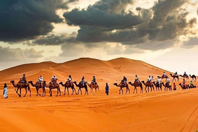 Marrakech Desert Tour 5 Days Trip in Sahara - Pricing and Cancellation