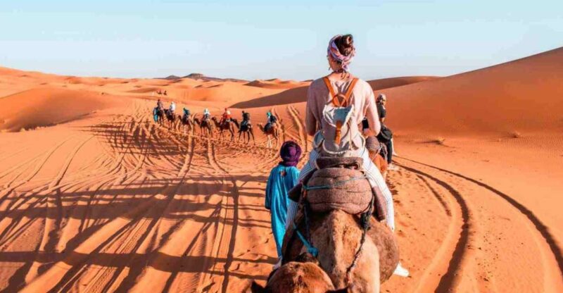Marrakech: Desert Tours 3 Days to Fes - Key Points