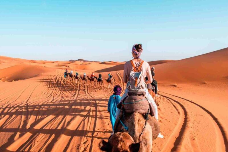 Marrakech: Desert Tours 3 Days to Fes - Itinerary Highlights