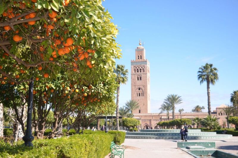 Marrakech Discovery: Monuments, Market & Medina Walking Tour - Customer Feedback and Recommendations