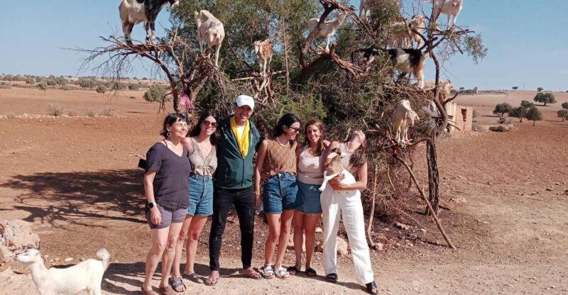 Marrakech: Essaouira Day Trip With Womens Argan Co-Op Visit - Argan Oil Experience