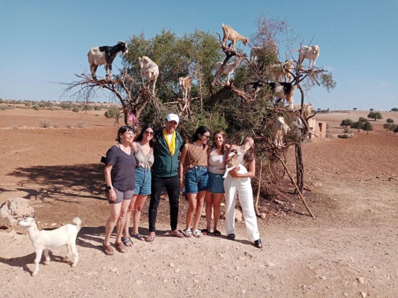 Marrakech: Essaouira Day Trip With Womens Argan Co-Op Visit - Roundtrip Transportation