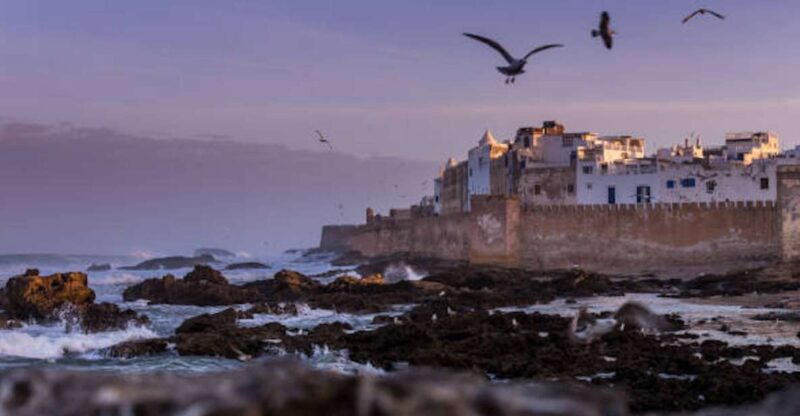 Marrakech: Essaouira Full-Day Trip - Transportation and Accessibility