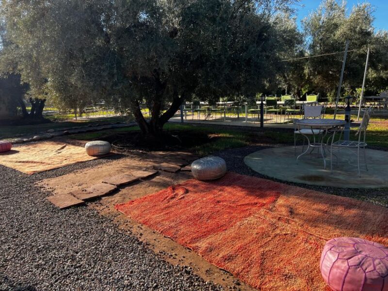 Marrakech: Experience Moroccan Dinner in a Farm & Transfer - Key Points