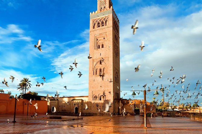 Marrakech Full Day Guided City Tour - Private Tour - Visiting Iconic Mosques