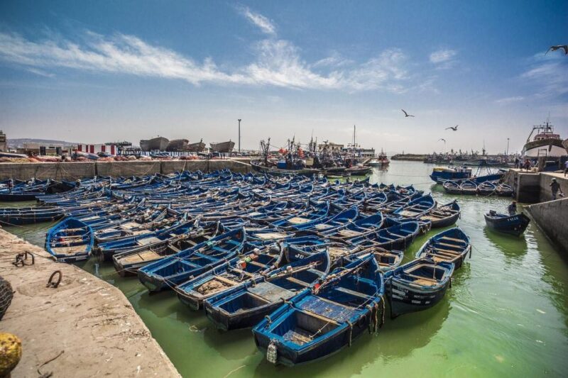Marrakech: Guided Day Trip to Essaouira With Co-Op Visit - Market and Medina Exploration