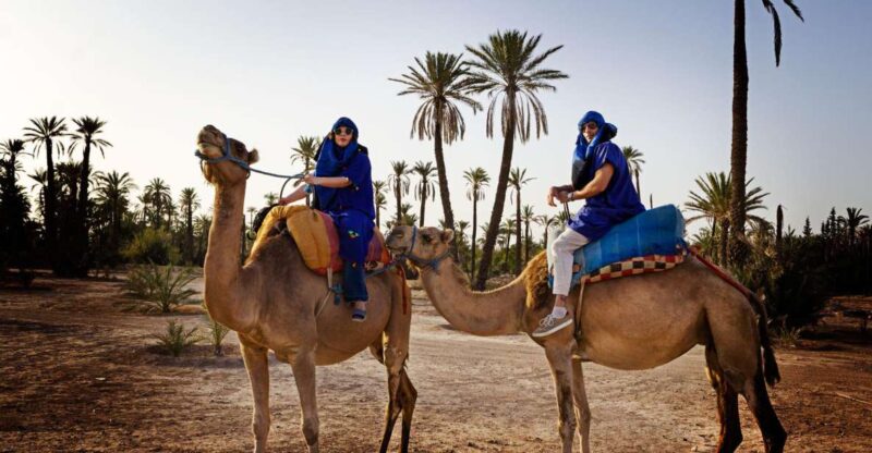 Marrakech: Half-Day Camel Ride in Palm Grove - Key Points