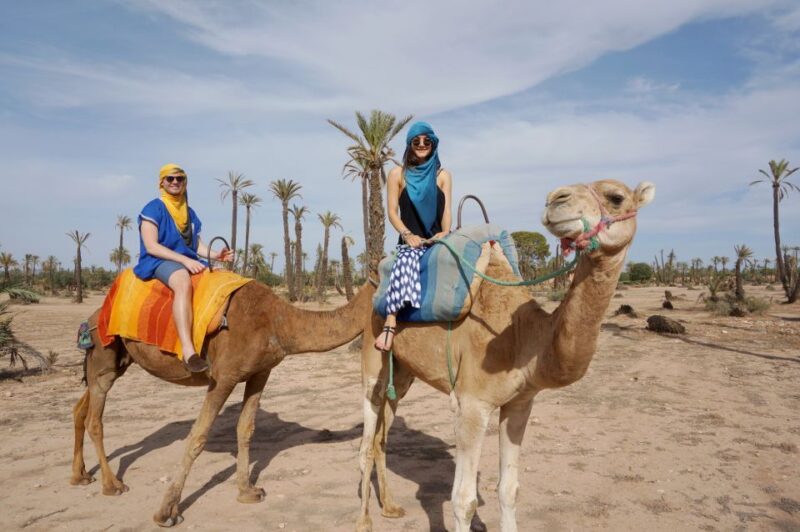 Marrakech: Half-Day Camel Ride in Palm Grove - Itinerary and Duration