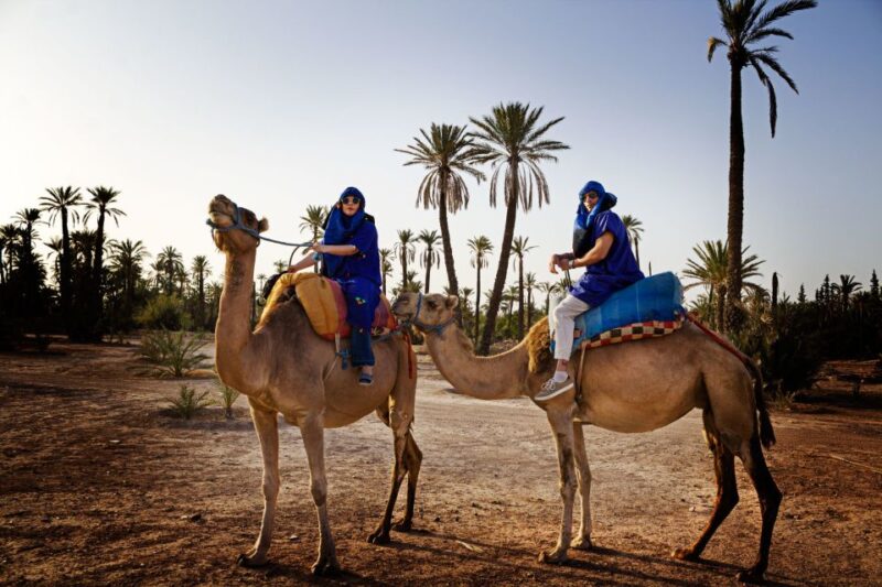 Marrakech: Half-Day Camel Ride in Palm Grove - Camel Ride Experience