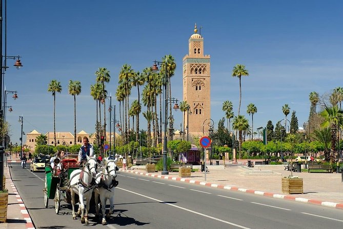 Marrakech Half-Day Cultural Walking Tour (No Shopping) - Visiting a Traditional Bakery