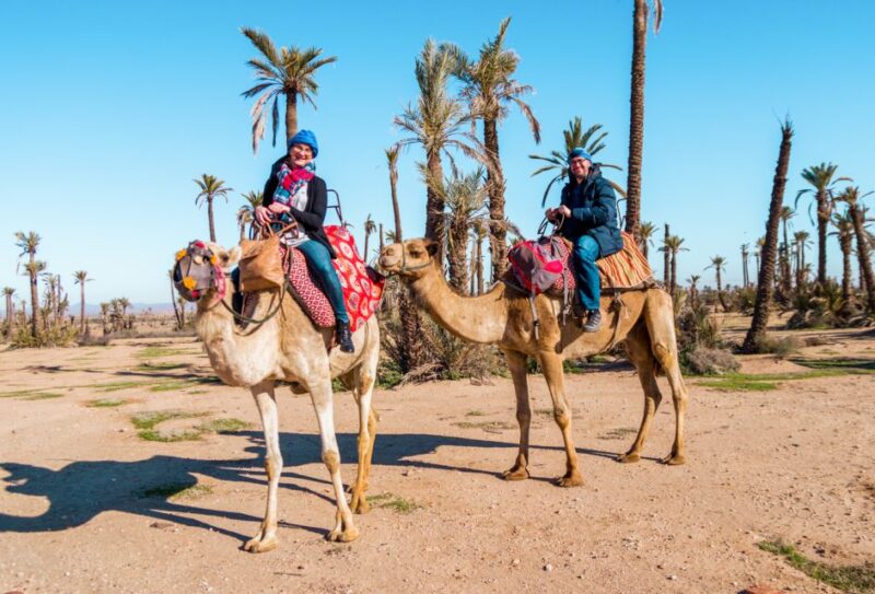 Marrakech: Half-Day Desert Quad Tour With Camel Ride - Key Points