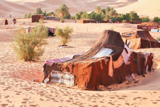 Marrakech: Half-Day Desert Quad Tour With Camel Ride - Pickup and Transportation