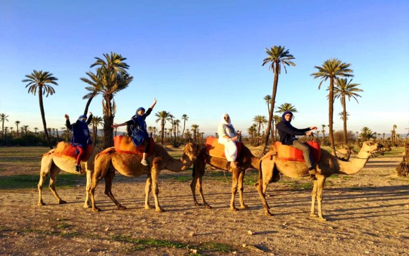 Marrakech: Half-day Dunes Trip With Buggy and Camel Ride - Experience Highlights