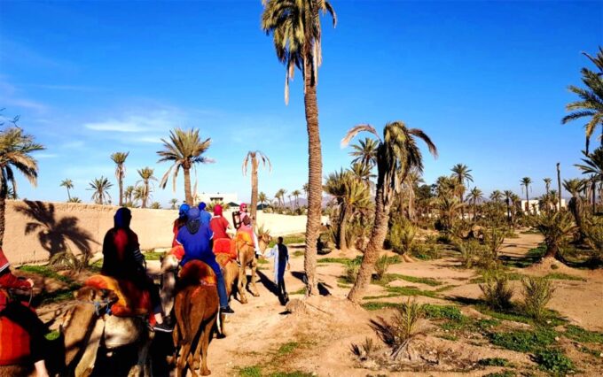 Marrakech: Half-day Dunes Trip With Buggy and Camel Ride - Berber Culture Immersion