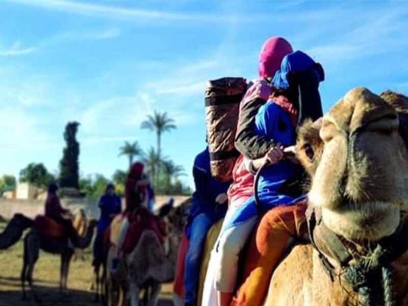 Marrakech: Half-Day Tour With Buggy Ride, Camel Ride and Spa - Key Points