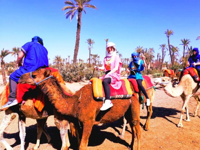 Marrakech: Half-Day Tour With Buggy Ride, Camel Ride and Spa - Customer Feedback and Ratings