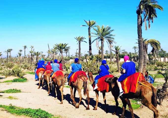 Marrakech: Half-Day Tour With Buggy Ride, Camel Ride and Spa - Buggy Ride Details