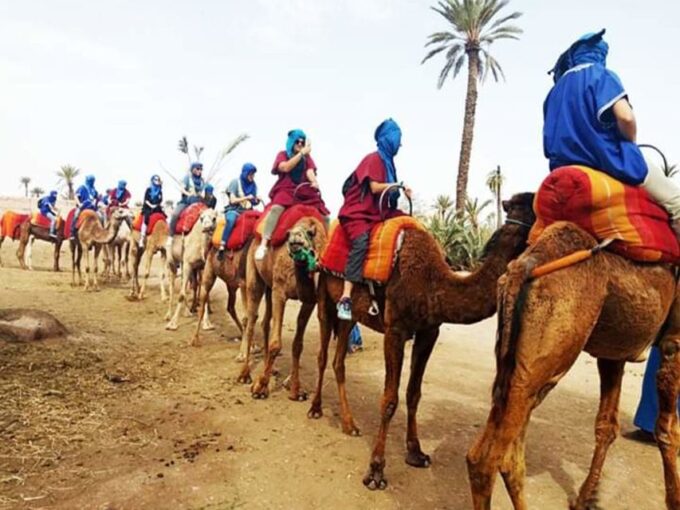 Marrakech: Half-Day Tour With Buggy Ride, Camel Ride and Spa - Spa and Relaxation