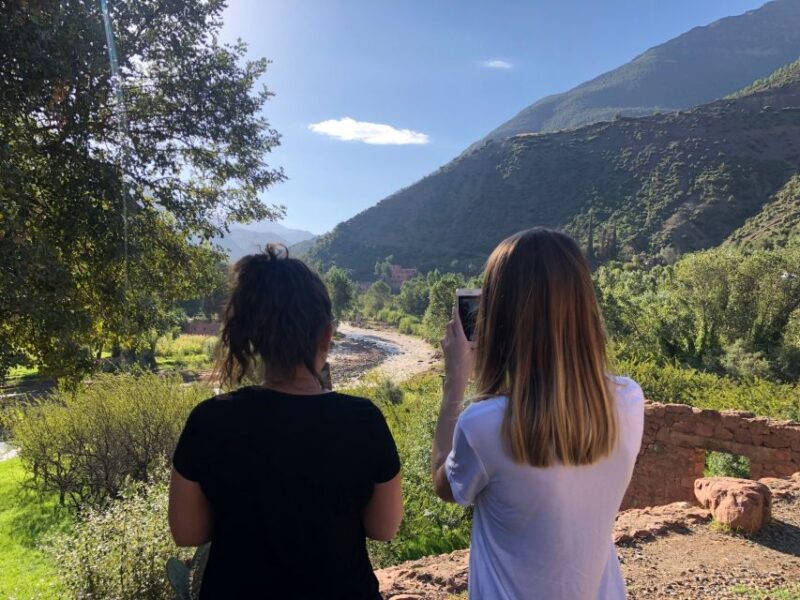 Marrakech: Half-Day Trip to the Atlas Mountains - Transportation and Logistics