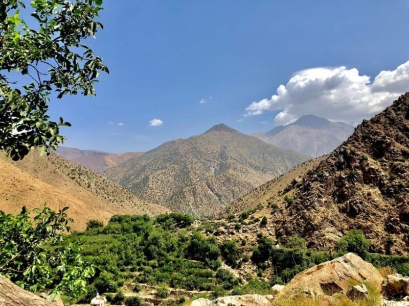 Marrakech: Half-Day Trip to the Atlas Mountains - Guidance and Support