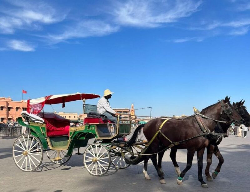 Marrakech: Half Day Walking Tour With a Local Guide - Itinerary Highlights
